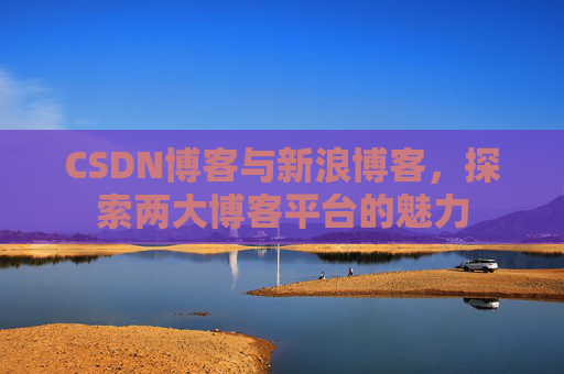 CSDN博客与新浪博客,探索两大博客平台的魅力